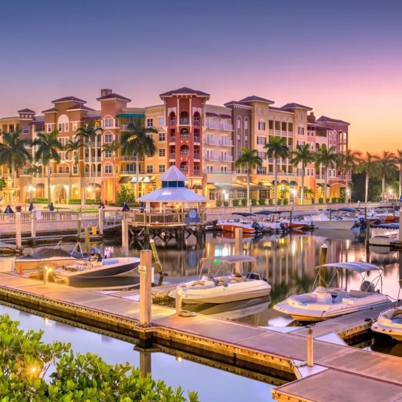 Pest Control Naples FL
