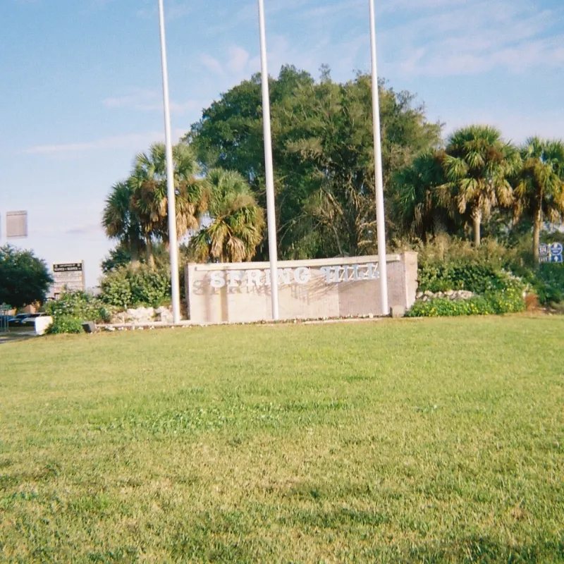 Pest Control Spring Hill FL