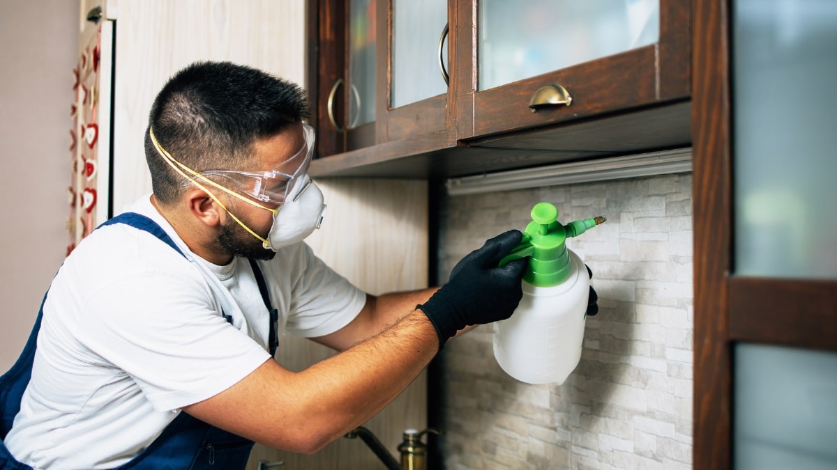 7 Signs You Need Emergency Pest Control in Florida