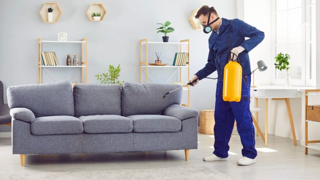 Why Emergency Pest Control in Florida is Crucial